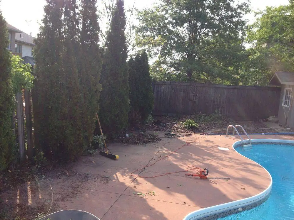 Tall evergreen hedges bordering a poolside patio
