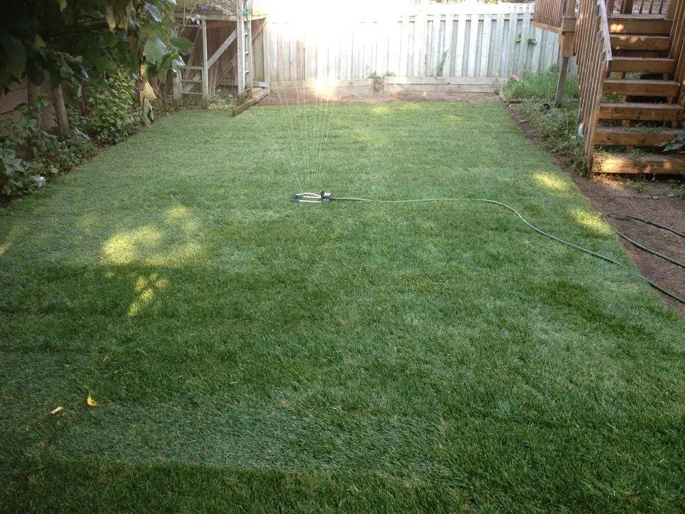 Long backyard lawn beside wooden steps and a white garden fence