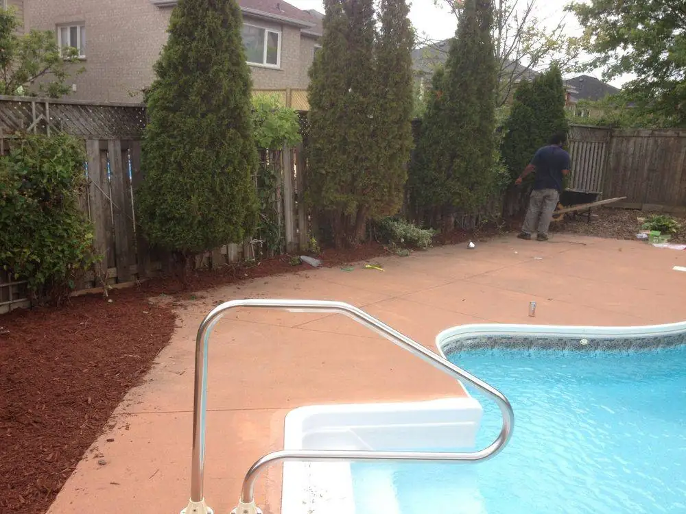 Evergreen hedge maintenance beside an outdoor swimming pool
