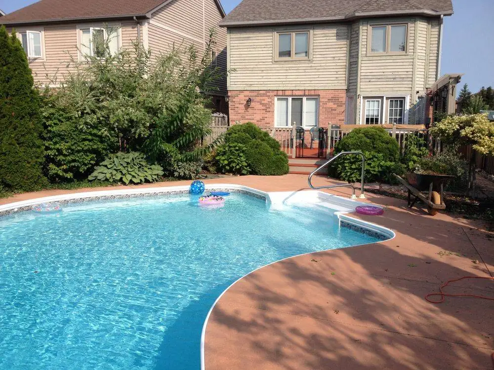 Poolside planting beside a curved patio